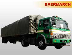 evermarch_8