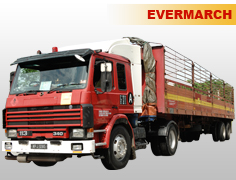 evermarch_10