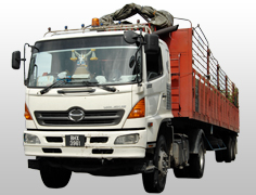 Professional delivery from Malaysia